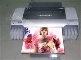430A彩色板印花机